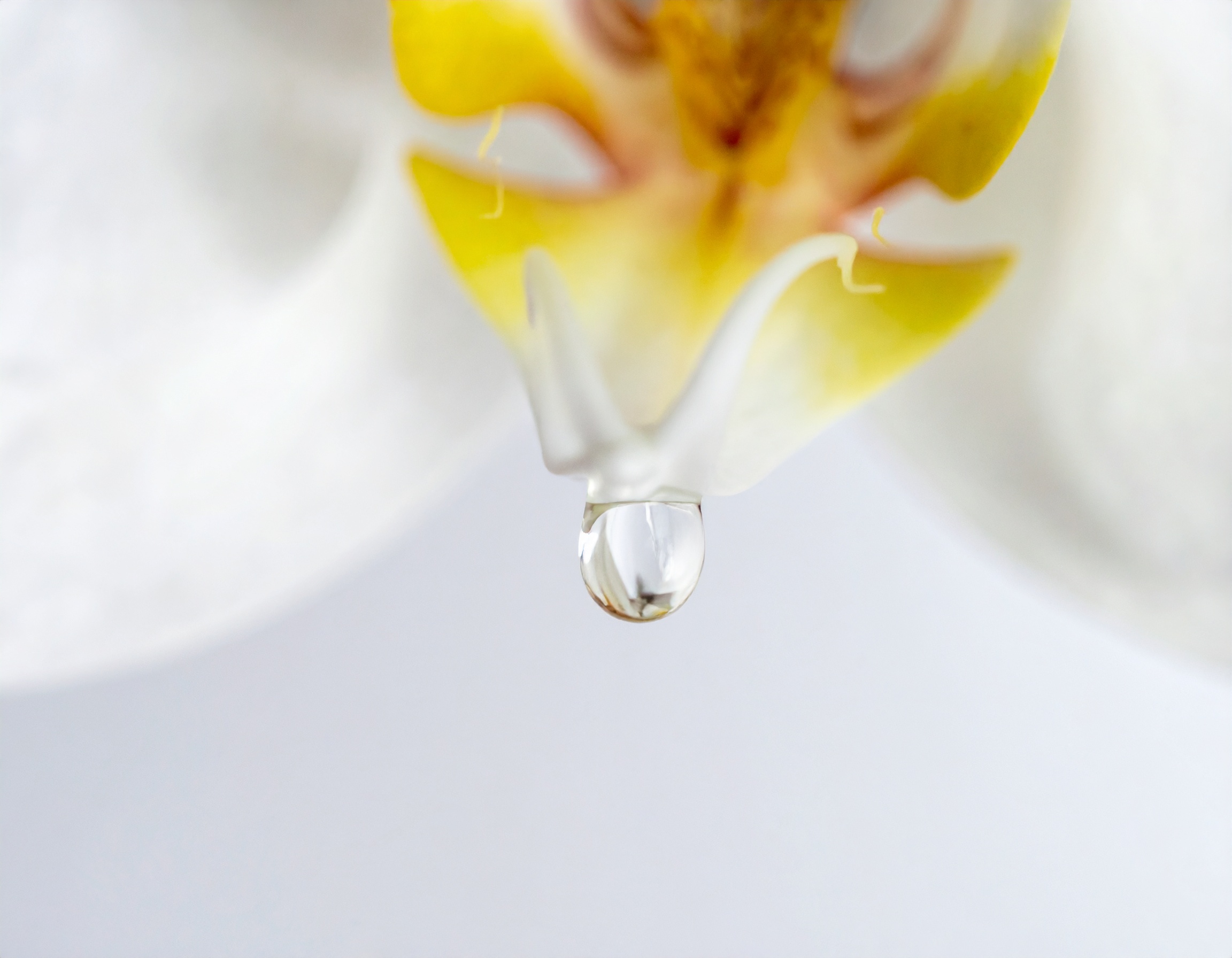 葬儀上映後、感動を余韻に繋ぐ司会者の結びの言葉